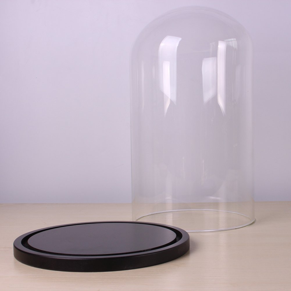 Expositor de cúpula de cristal con base de madera, base negra, vitrina para decoración del hogar, plantas y coleccionables, 20 cm x 35 cm, protección elegante para tus artículos