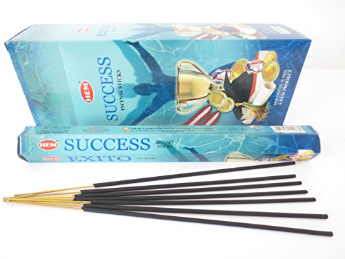 Hem Success Incense Sticks (120 Sticks, 6 Boxes Inside) - 9 Inches Long, 20g per Box - Promote Prosperity,Personal Endeavors and Uplift Energy.