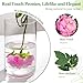 MARTINE MALL 3PCS Real Touch Peonies Artificial Flowers, 22in Pinkish Purple Fake Peonies Artificial Peonies Flowers Latex Large Faux Peony Flowers for Centerpiece Table Wedding Party Home Decor