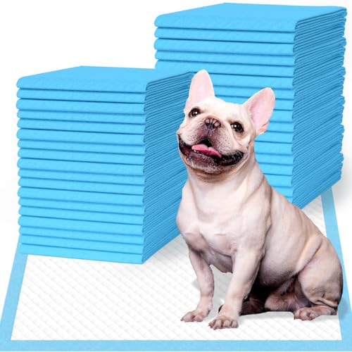 Image of IMMCUTE Puppy Pee Pads 22 inchx23 inch, 50 Count, Super Absorbent Leak-Proof Disposable Dog Training Pads for Puppies, Adult Dogs Cats & Other Pets Potty Piddle Pads for Crate, Kennel & Indoor /Outdoor Use