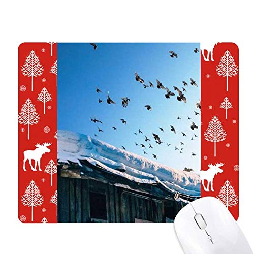 Beauty Gift la Maison Blanche Neige décor de noël forêt en bois naturel