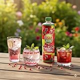 RAAK Sirop Grenadine Premium – Pack 6×750 ml (180 verres) – Dilution 1:7 – Goût gr...