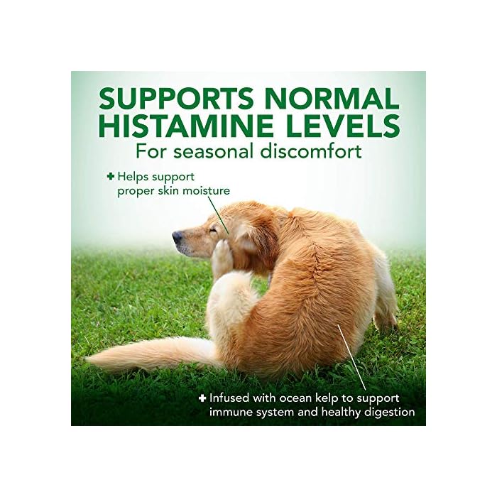Vet's Best Immune Support Dog Supplement| Promotes Healthy Immune System & Seasonal Allergy Relief | 60 Chewable Tablets - Image 3