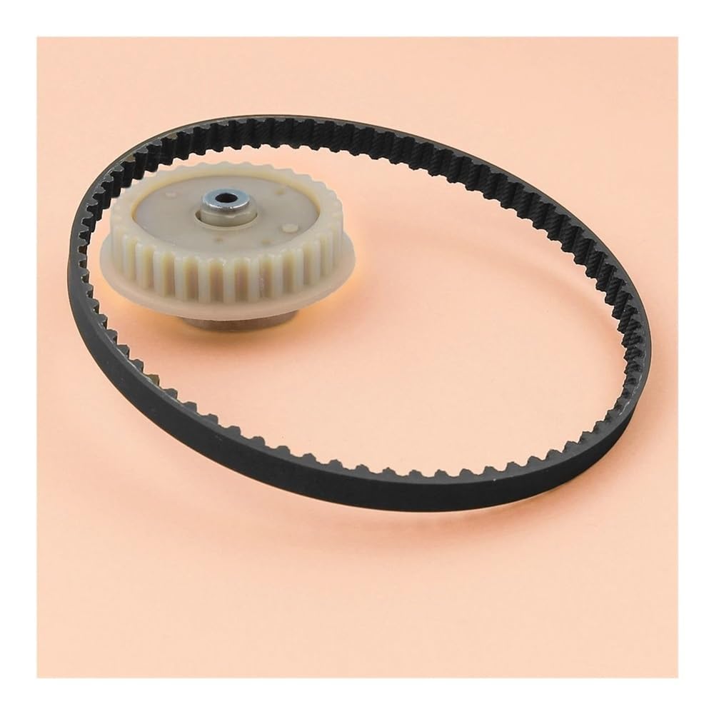 Engranaje De Polea Árbol Levas Transmisión Correa Distribución Compatible con Honda GX35 GX35NT HHT35S UMK435, Desbrozadora 4 Tiempos, Piezas Cortacésped