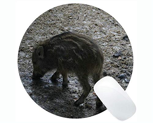 Cut Pig Mousepad, Launchy Round Mouse Pads