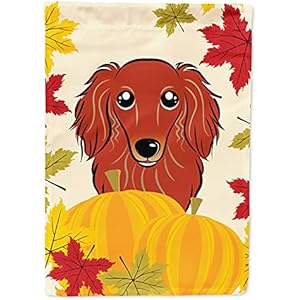 Caroline's Treasures BB2020GF Longhair Red Dachshund Thanksgiving Flag Garden Size Small Multicolor