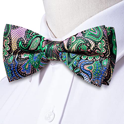 Image of Dubulle Mens Paisley Striped Bowtie Set Pre-tied Bowtie for Men and Pocket Square Set Wedding Business