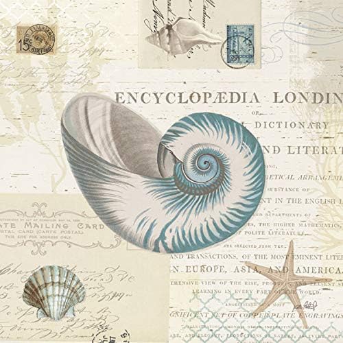 Miniatura 3 de Gango Home Décor Hermoso juego de conchas marinas y estrellas de mar Nautilus de Katie Pertiet decoración costera dos lienzos estirados a mano de 12