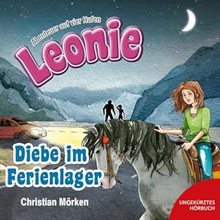 Diebe im Ferienlager Titelbild