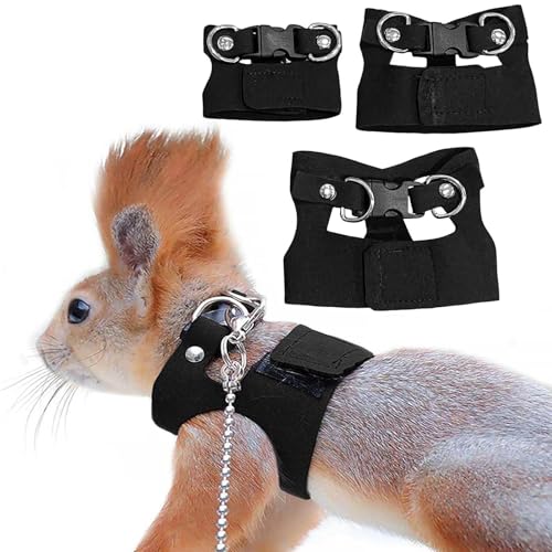 Ifukens tgASqQgJQ n[lX3TCYZbg ߉\ȃg[jO[hnX^[ [hxXg^঒ޗpybg [hnX^[ UptFbg  h~ T gJQ tFbg CR  n[lX p