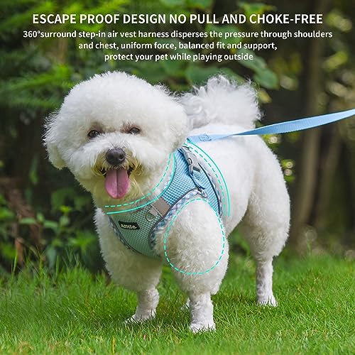 AIITLE Hundegeschirr und Leine Set, No Pull Schritt in Welpengeschirr mit Super atmungsaktivem Mesh, einstellbare reflektierende Welpen Essentials für die Ausbildung für kleine Hunde, Katzen Blau XS