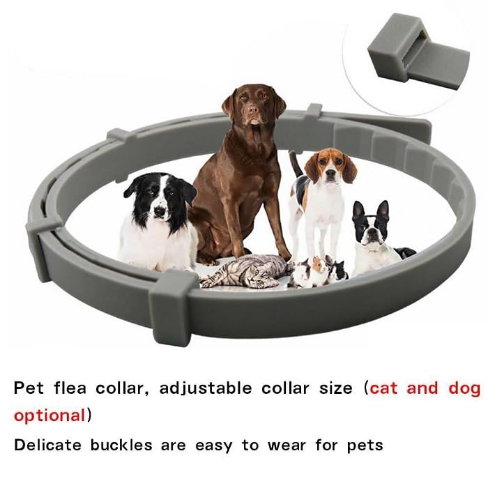 PetVogue Flea and Tick Collar for Dogs, Flea and Tick Prevention for Dog, 25 Inch, 8 Month Protection, 1 Pack 2