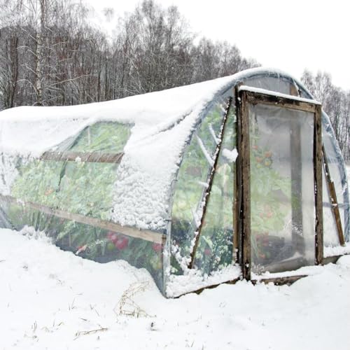 6 mil Greenhouse Plastic Film Sheeting Cover UV Resistant Freeze Protection Waterproof, 9.8 x