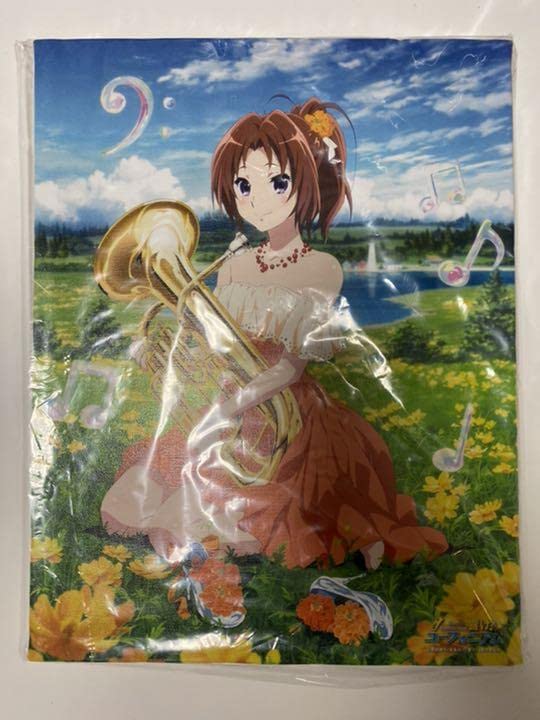 Amazon.co.jp: 響けユーフォニアム 中川夏紀 キャンバスアート : おもちゃ