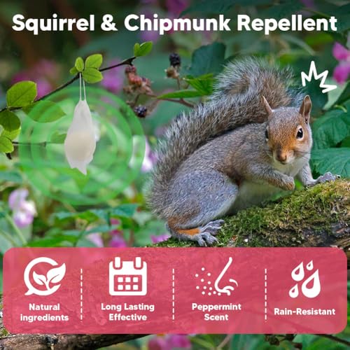 AUDQQM Squirrel Repellent Outdoor, Peppermint Chipmunk Repellent for Garden, Attic, Bird Feeders, Car Engines – Long-Lasting Safe Protection- 8 Packs