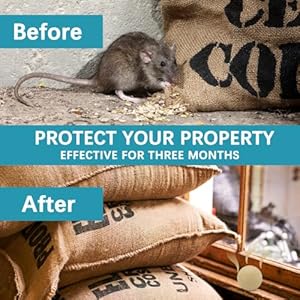 Rodent-Repellent-Mice-Repellents-Indoor-Mouse-Repellent-Balls-for-House-Rat-Repellant-Peppermint-to-Repel-Mice-and-Rats-Keep-Mice-Out-Mouse-Deterrent-Mouse-Away-for-Camper-8-Packs - Cucciolini Doodles   Rodent-Repellent-Mice-Repellents-Indoor-Mouse-Repellent-Balls-for-House-Rat-Repellant-Peppermint-to-Repel-Mice-and-Rats-Keep-Mice-Out-Mouse-Deterrent-Mouse-Away-for-Camper-8-Packs