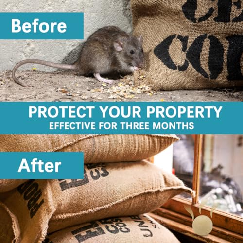 Rodent-Repellent-Mice-Repellents-Indoor-Mouse-Repellent-Balls-for-House-Rat-Repellant-Peppermint-to-Repel-Mice-and-Rats-Keep-Mice-Out-Mouse-Deterrent-Mouse-Away-for-Camper-8-Packs - Cucciolini Doodles   Rodent-Repellent-Mice-Repellents-Indoor-Mouse-Repellent-Balls-for-House-Rat-Repellant-Peppermint-to-Repel-Mice-and-Rats-Keep-Mice-Out-Mouse-Deterrent-Mouse-Away-for-Camper-8-Packs