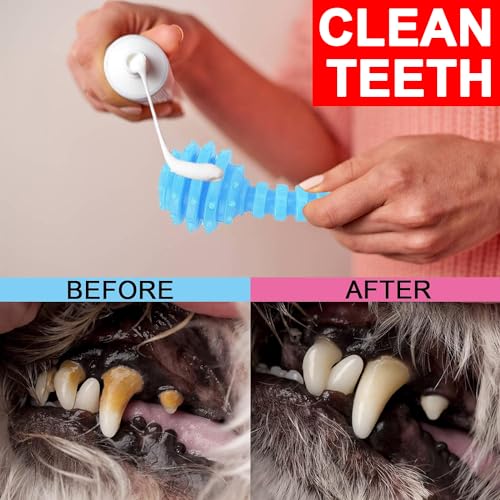 Puppy Toys 6 Pack Dog Chew Toys for Puppy Cute Blue Small Dog Toys Teething Toys for Puppies Soft Durable Interactive Chew Toy for Small Dogs  Cucciolini Doodles Puppy toys 6 pack dog chew toys for puppy cute blue small dog toys teething toys for puppies soft durable interactive chew toy for small dogs   cucciolini doodles