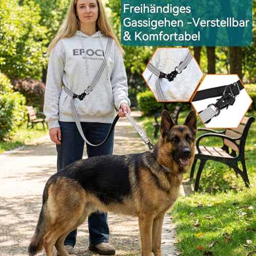 Lina Pet Hundeleine 3m x 2,5 cm, Reflektierend – Verstellbare Doppelleine aus Nylon mit Aluminium-Karabiner, Führleine für große und mittelgroße Hunde
