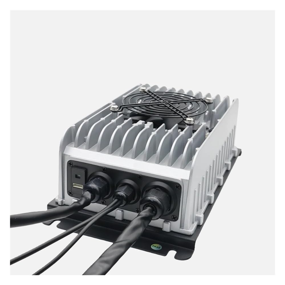 Amazon.com: Lv Tong DM4830H 48V 30A Golf Cart Charger 1800W