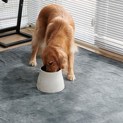 Image of Washable Pee Pads for Dogs, 60x60 Reusable Whelping Pads, Absorb Dog Mats Non-Slip Puppy Training Pads for Whelping, Potty, Training, Playpen, Crate