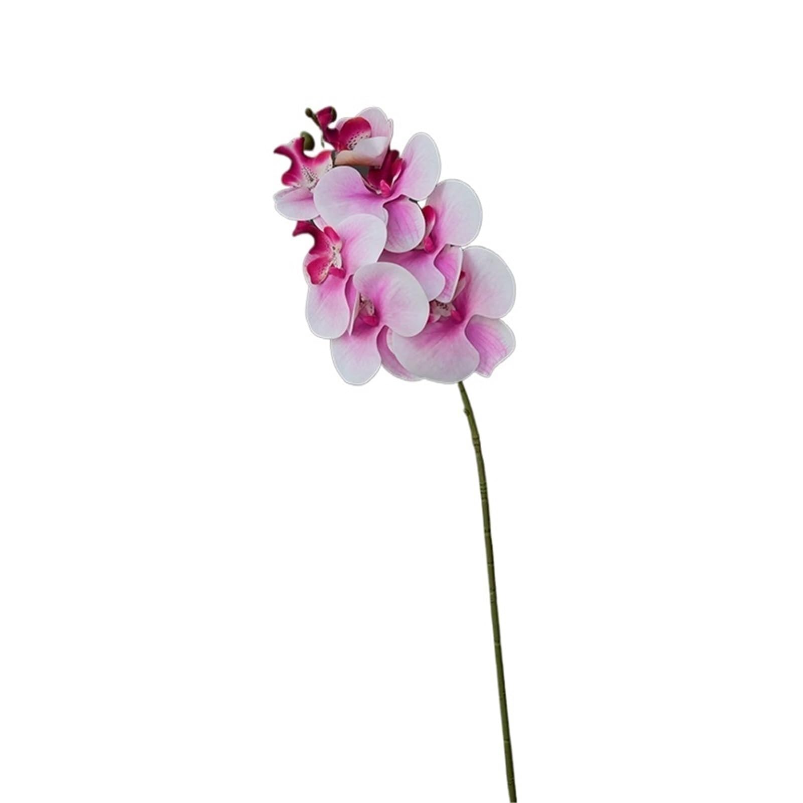 FonHNDG Artificial Flower Branches 1PC Simulation Flower Texture Orchid Fake Ornament Table Decoration(White Purple)