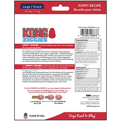 kong ziggies puppy large