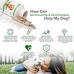 Joint Supplement for Dogs - Green Lipped Mussel, MSM + Glucosamine Formula - Helps to Restore Mobility, Relieve Arthritis & Hip Dysplasia Pain, Reduce Inflammation, No Artificial Flavors (Pack of 1) - Image 5