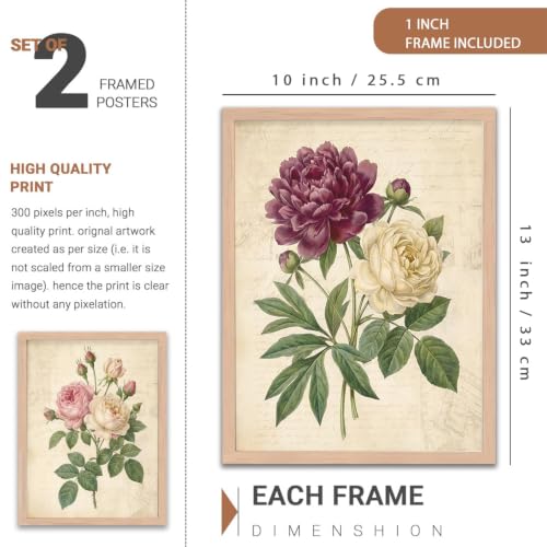 Image of YANVEER Botanical Wall Art Painting | Wall Frames For Home Decor Office Living Room | Poster With Frame Wall Decoration Painting | Premium Art Framed Wall Painting For Home Decor | Set of 2 (10X13 inch)