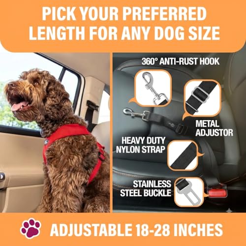 Image of Active Pets Dog Car Harness - Dog Seatbelts for Cars, Trucks, Travel - Tether Belt for Small & Large Dogs (Black, 2 Pack)