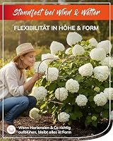 bellissa Rankhilfe-Set Andybelle 3 Rankgitter je 45x70cm Plus 6 Verbinder – Ansicht 3