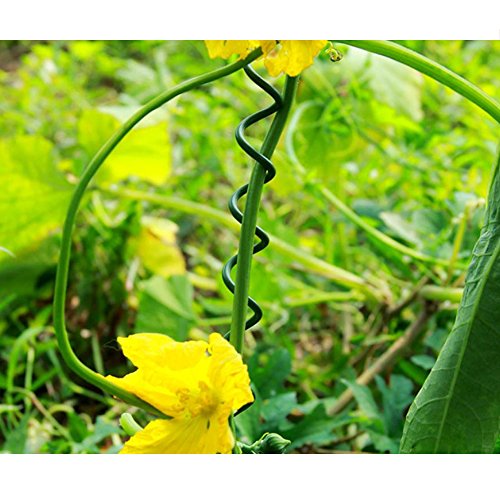 VIMOA Garden Twine Bonsai Training Wire 65 Feet 2mm Garden Twist Tie for Tomato Plants, Climbing Roses, Vines, Cucumbers, Squash and Wrapping Cords