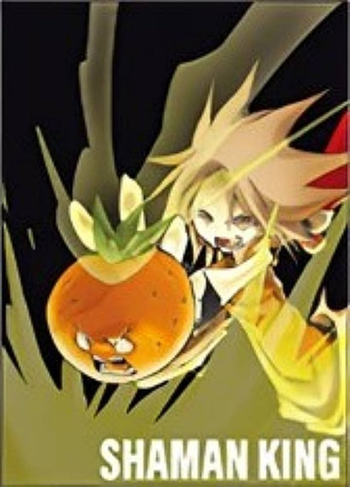 シャーマンキング　メモリアルカードコレクション Amazon.co.jp: 【麻倉花】シャーマンキング メモリアルカード