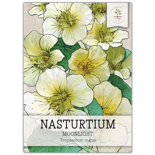 Seed Needs, Moonlight Nasturtium Seeds - 40 Heirloom Seeds for Planting Tropaeolum majus - Edible Annual Flowering Vines to Plant a Butterfly Garden That Attracts Pollinators (1 Pack)