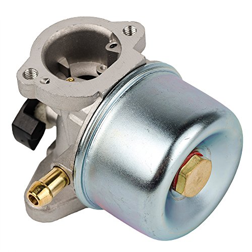 Carkio 799868 Vergaser mit Dichtung und O-Ring, Ersatz Compatible with Briggs & Stratton 498170 498254 497347 497314 Vergaser