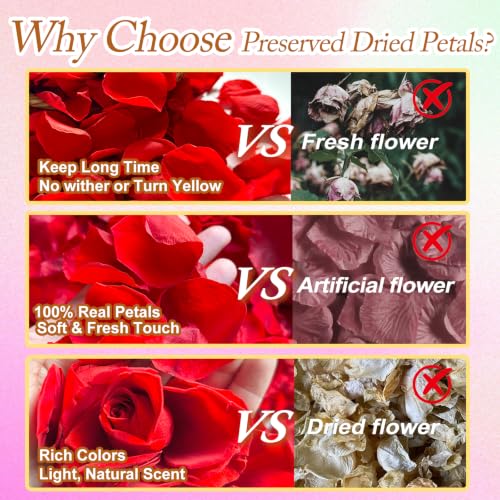 Real Red Rose Petals, Preserved Flower Petals for Romantic Night,180+PCS - image 4