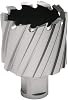 HOUGEN Annular Cutters - Tool Material: HSS Size : 1-34 2 depth of cut [pack of 1]