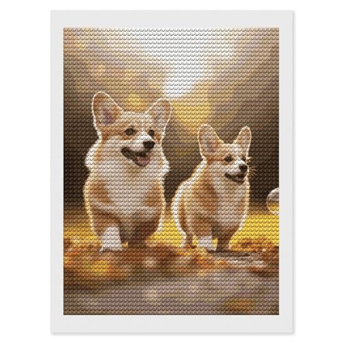 Kit peinture diamant 5D chien corgi 30x40 cm broderie diamant canevas pour adulte débutant