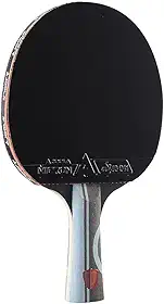 JOOLA Infinity Edge - Desempenho de torneio Ping Pong Paddle com tecnologia de carbono profissional - Borracha preta em ambos os lados