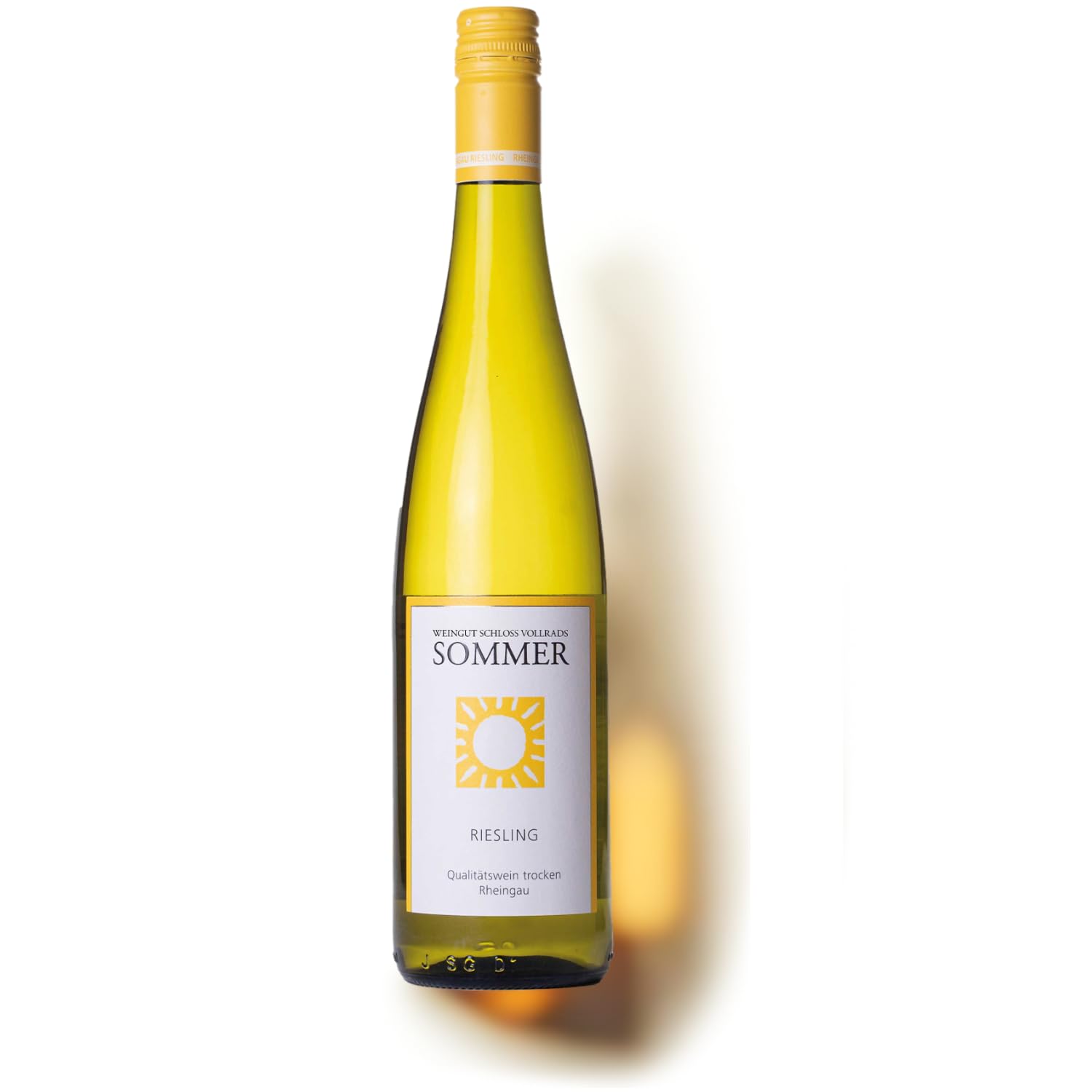 Schloss Vollrads Sommer trocken Weißwein Bio Deutschland Riesling inkl. FeinWert E-Book (6 x 0,75l)