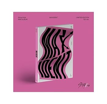 Stray Kids  MAXIDENT フィリックス　JYP SHOP特典 stray kids MAXIDENT JYP SHOP店舗特典 リノ stray kids