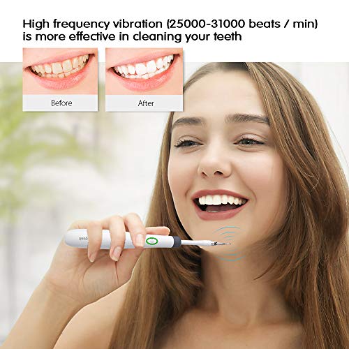 image for Electric Sonic Dental Calculus Plaque Remover Tools,homgeek Scraper Pl
