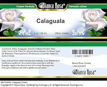 Biancalani 花瓶☆SALE princepurple-1.jpg?v=