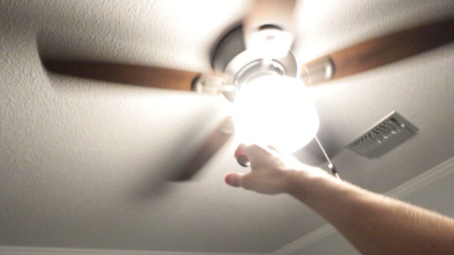 Best Ceiling Fan? | Bellina 42 in. Ceiling Fan with Light