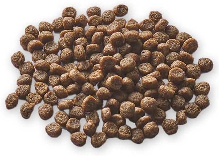 ハーベスト キドニア 腎臓ケア用 1.1kg 6袋【プレゼント付き】