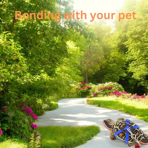 Image of Tortoise Harness and Leash with Toy Skateboard for Turtle set, Funny Tortoise Skateboard and Adjustable Leather Harness Leash, Training Skateboard and Turtle Harness Leash Pet Tortoises Toys (Blue, S)