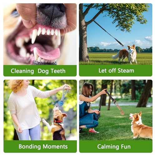 Hanging Tree Tug Toy,Bungee Dog Toy, Interactive Tether Tug Toy with 4Pcs,Exercise Play Rope, for Small/Medium Dogs