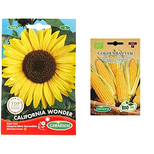 Germisem California Wonder Semi di Girasole 4 g & Biologico Golden Bantam Semi di Mais Dolce 7 g