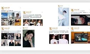 20cm 蒼蘭訣 張凌赫 ぬいぐるみ 本体+お洋服 天官賜福 探偵麗女① Amazon.co.jp: 20cm 蒼蘭訣 張凌赫 ぬいぐるみ 本体+お洋服 天官
