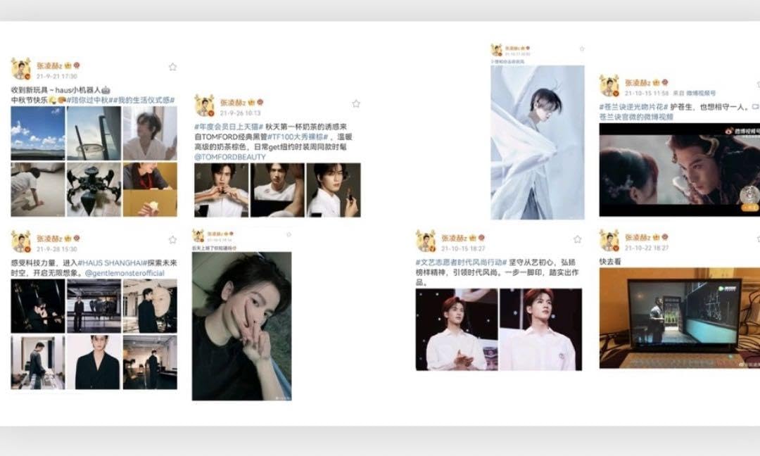 Amazon.co.jp: 20cm 蒼蘭訣 張凌赫 weibo 微博 記録集 天官賜福